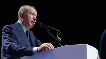 Erdoğan: Verelim el ele, bu işi bitirelim...