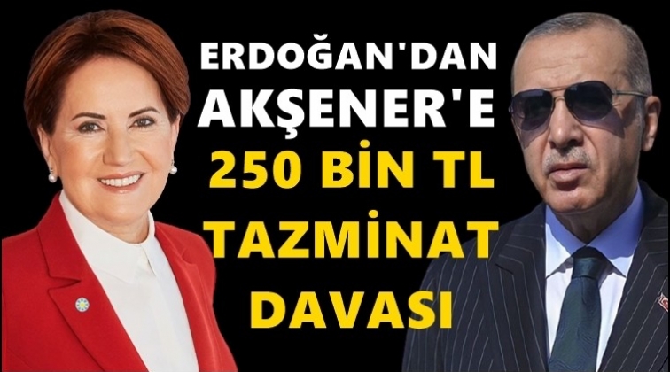 Erdoğan'dan Akşener'e tazminat davası...