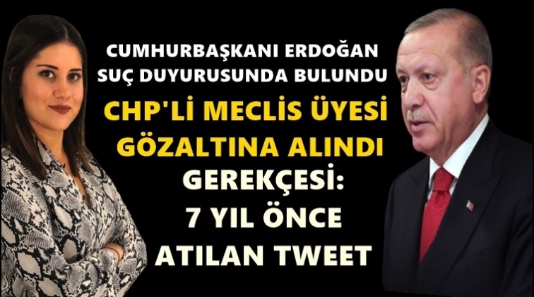 Erdoğan&rsquo;dan d&ouml;rt kişi hakkında su&ccedil; duyurusu