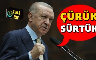 Erdoğan'dan Gezi eylemcilerine: Sürtük!