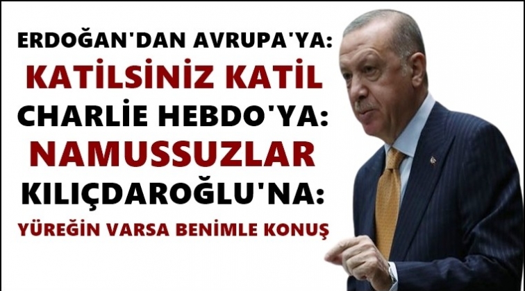 Erdoğan&rsquo;dan karikat&uuml;r tepkisi: Namussuzlar