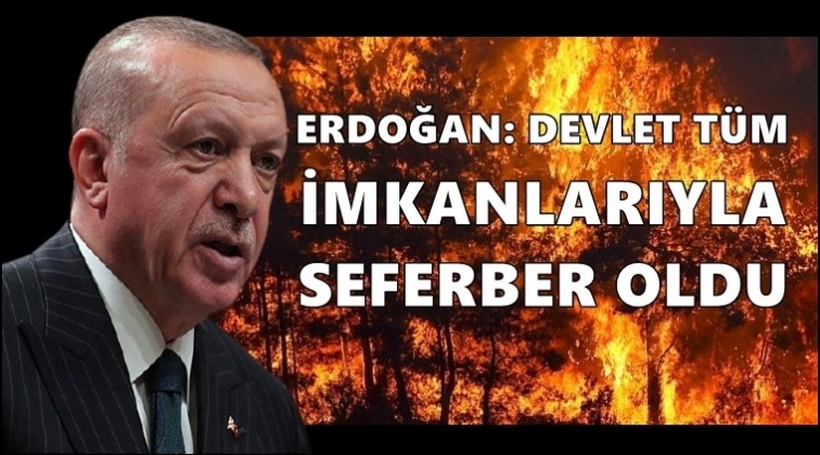 Erdoğan'dan orman yangınları a&ccedil;ıklaması...