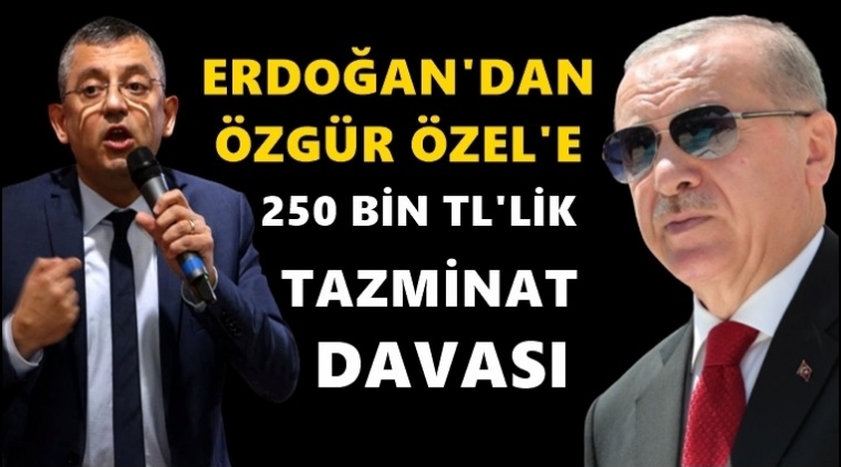 Erdoğan&rsquo;dan &Ouml;zg&uuml;r &Ouml;zel&rsquo;e 250 bin TL&rsquo;lik dava
