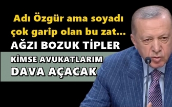 Erdoğan'dan&nbsp;&Ouml;zg&uuml;r &Ouml;zel'e tazminat davası