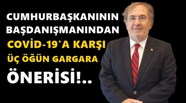 Erdoğan&rsquo;ın başdanışmanından gargara &ouml;nerisi