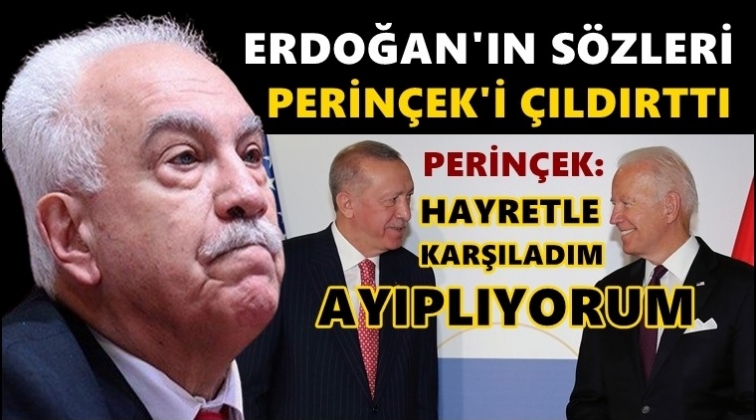 Erdoğan'ın s&ouml;zleri Perin&ccedil;ek'i kızdırdı!