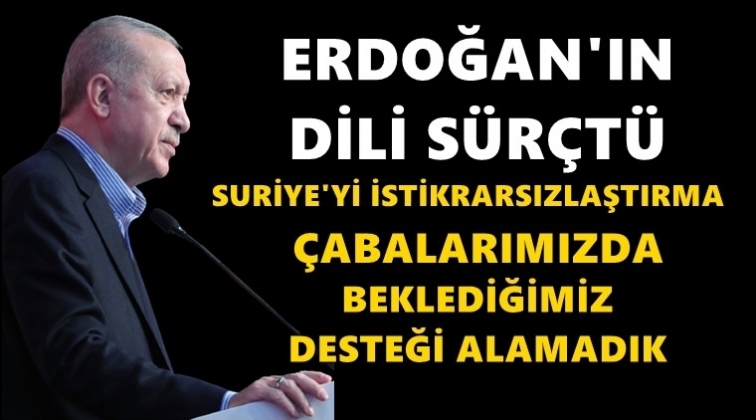 Erdoğan'ın yine 'dili s&uuml;r&ccedil;t&uuml;!..