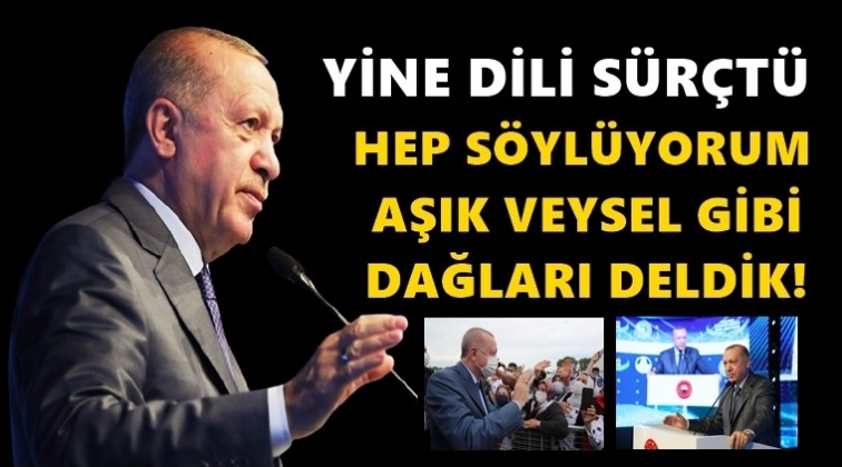 Erdoğan'ın yine dili s&uuml;r&ccedil;t&uuml;: Aşık Veysel gibi dağları deldik!