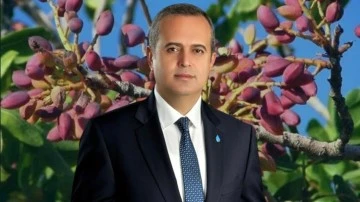 Ertuğrul Kaya: Fıstığın fındıktan neyi eksik?