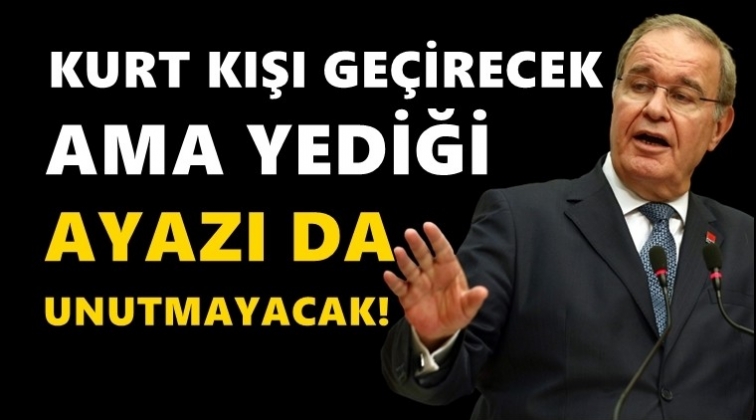 Faik &Ouml;ztrak: Kurt kışı ge&ccedil;irecek fakat...