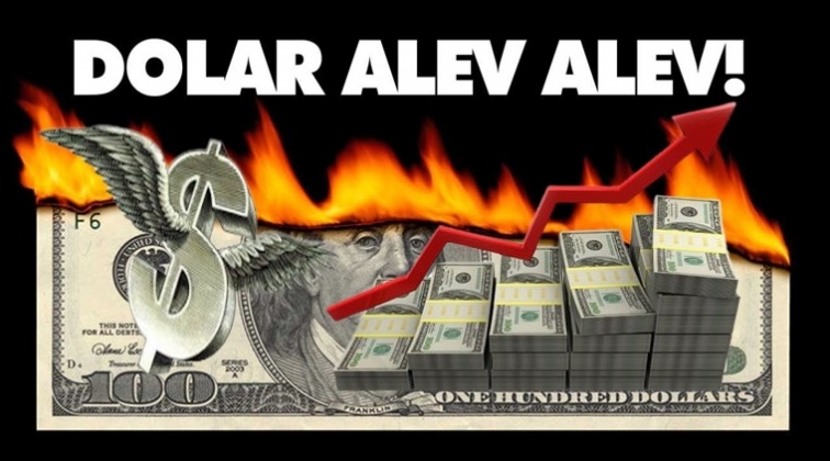 Faiz indirim kararı doları u&ccedil;urdu!