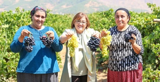 Fatma Şahin, İslahiye'de &uuml;z&uuml;m hasadına katıldı 