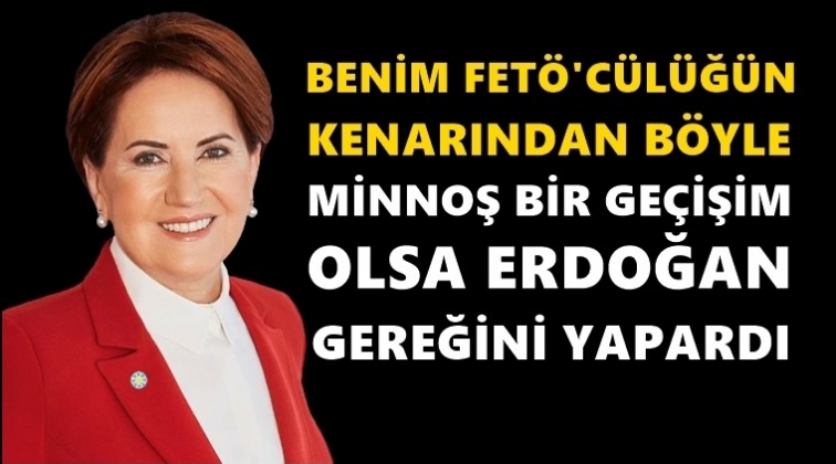 FET&Ouml;'c&uuml;l&uuml;ğ&uuml;n kenarından b&ouml;yle minnoş bir ge&ccedil;işim olsa...