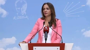 Gamze Akkuş İlgezdi: GSS'si &ouml;denen sığınmacı 4 kat arttı