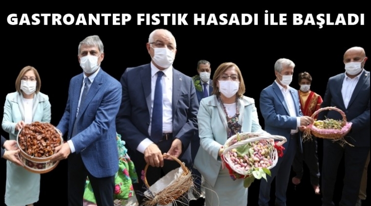 GastroAntep Antep Fıstığı hasadı ile başladı