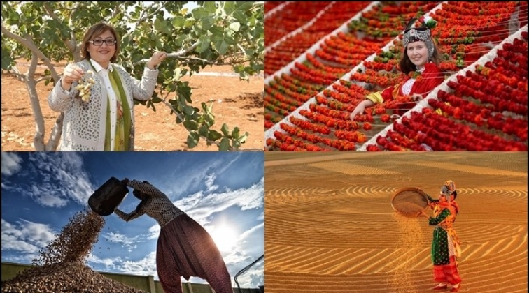 GastroAntep Festivali başlıyor