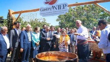 GastroAntep, fıstık hasadı ve şire yapımıyla başladı