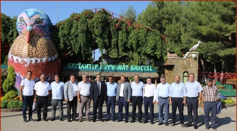 Gastronomi Festivali başlıyor