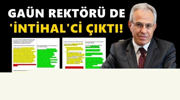 GA&Uuml;N Rekt&ouml;r&uuml; de 'intihal'ci &ccedil;ıktı!