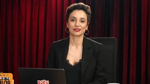 Gazeteci Şule Aydın&rsquo;a soruşturma