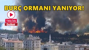 Gaziantep Bur&ccedil; Ormanı'nda b&uuml;y&uuml;k yangın...