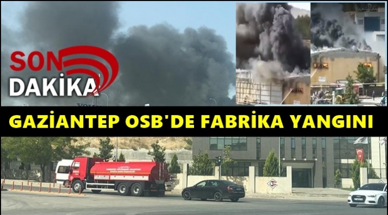 Gaziantep'te elyaf fabrikasında korkutan yangın!
