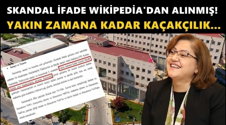 Skandal ifadeler Wikipedia'dan alınmış!
