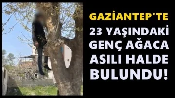 Gaziantep’te 23 yaşındaki genç ağaca asılı halde bulundu!