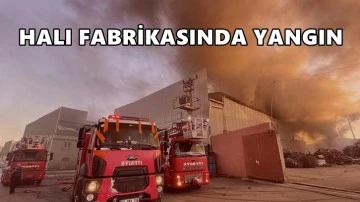Gaziantep'te, halı fabrikasında yangın...