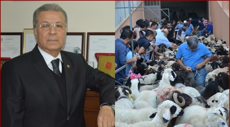 Gaziantep Yardım Vakfı'nda Kurban Bayramı hazırlığı