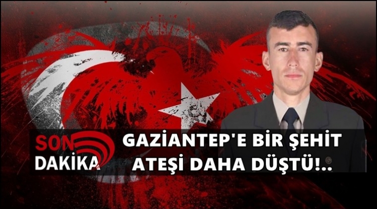 Gaziantep'e ikinci şehit ateşi d&uuml;şt&uuml;