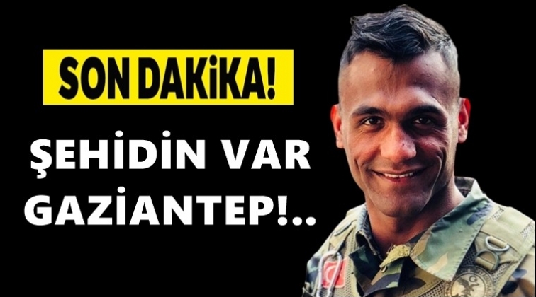 Gaziantep'e şehit ateşi d&uuml;şt&uuml;!..