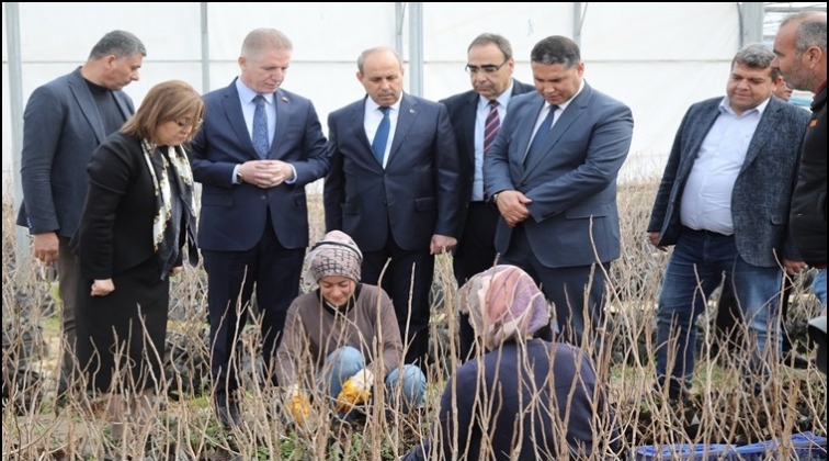 Gaziantep'in y&ouml;resel tatları korunacak