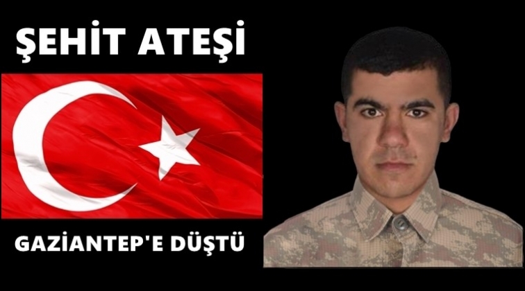 Gaziantepli Er Mecit Demir şehit d&uuml;şt&uuml;!