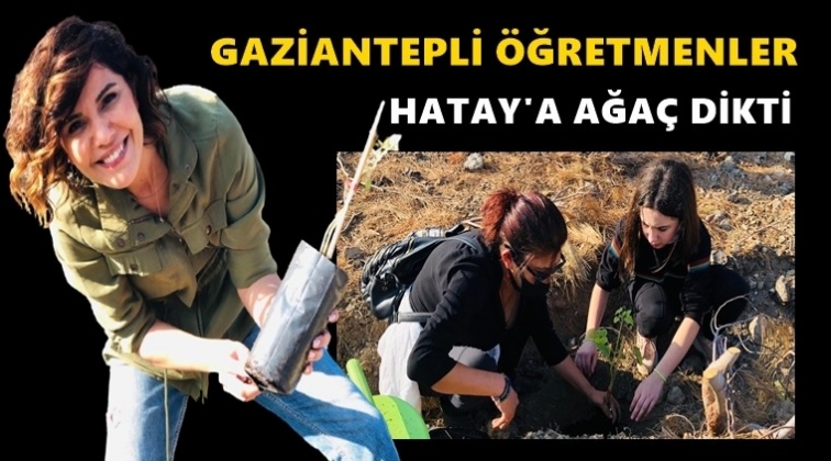 Gaziantepli &ouml;ğretmenler Hatay&rsquo;a ağa&ccedil; dikti