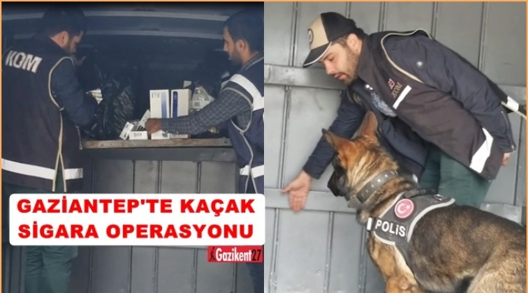 Gaziantep'te 11 bin paket gümrük kaçağı sigara yakalandı