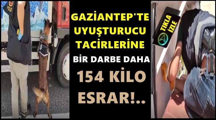Gaziantep'te 154 kilo esrar ele ge&ccedil;irildi
