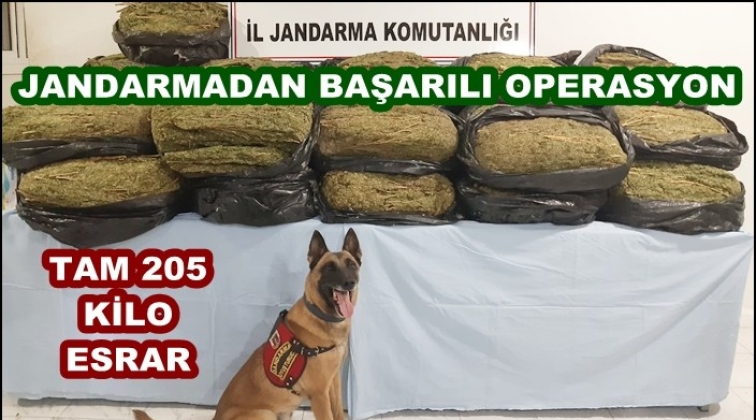 Gaziantep'te 205 kilogram esrar ele ge&ccedil;irildi