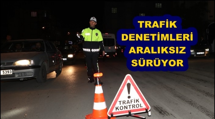 Gaziantep'te 2.206 ara&ccedil; ve s&uuml;r&uuml;c&uuml;s&uuml; denetlendi