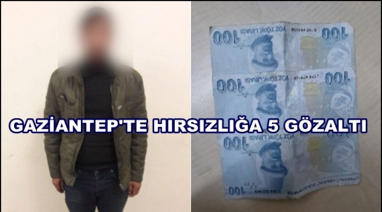Gaziantep'te 4 farklı hırsızlığa 5 g&ouml;zaltı
