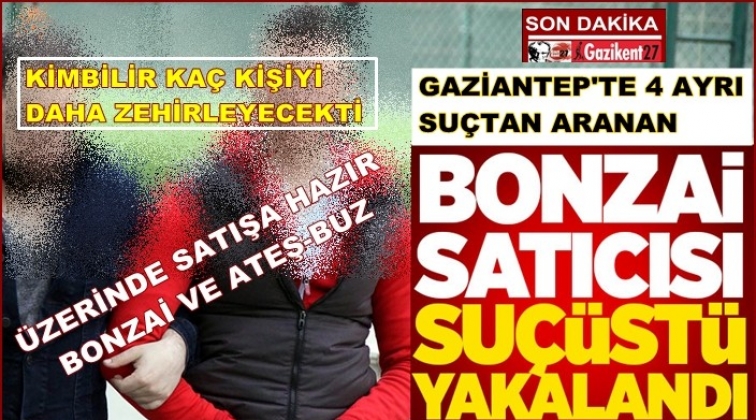 Gaziantep'te 4 suçtan aranan şahıs bonzai ile yakalandı