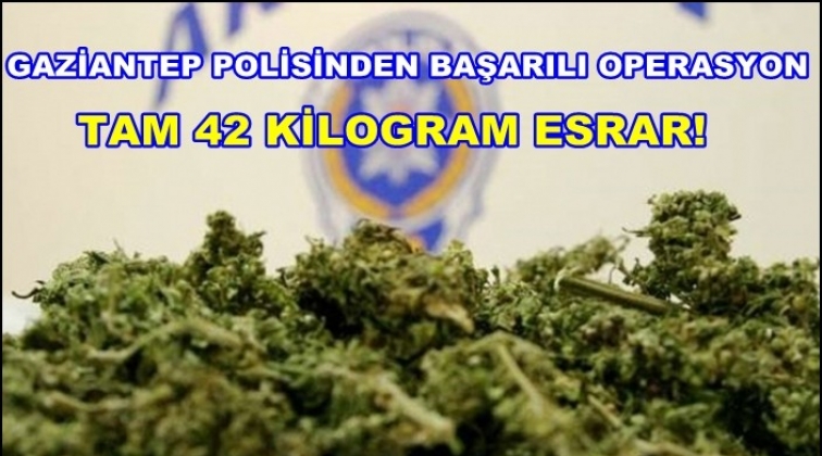 Gaziantep'te 42 kilogram esrar ele ge&ccedil;irildi