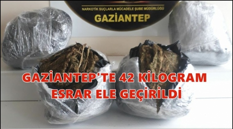 Gaziantep'te 42 kilogram esrar  ele ge&ccedil;irildi