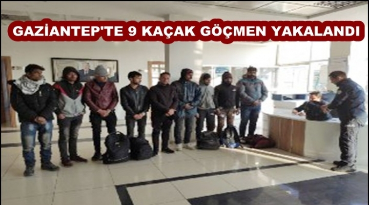 Gaziantep'te 9 kaçak göçmen yakalandı
