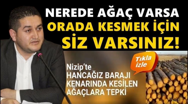 Gaziantep'te ağa&ccedil; katliamına tepki...