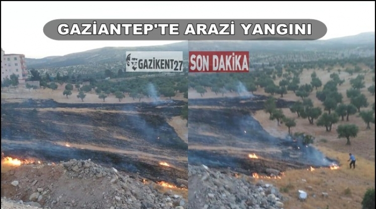 Gaziantep'te&nbsp;arazi yangını korkuttu!