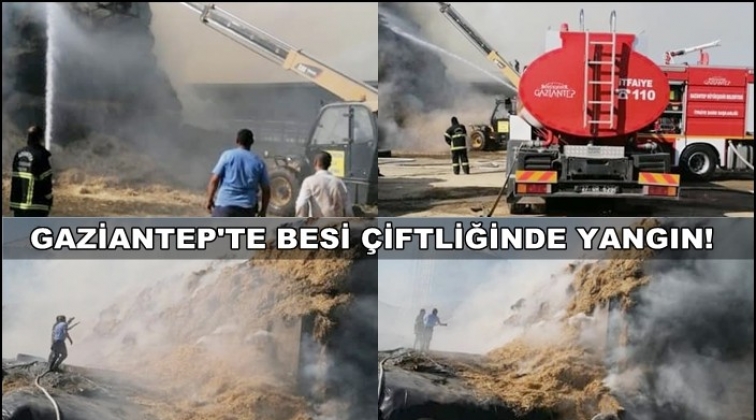 Gaziantep'te besi &ccedil;iftliğinde b&uuml;y&uuml;k yangın!