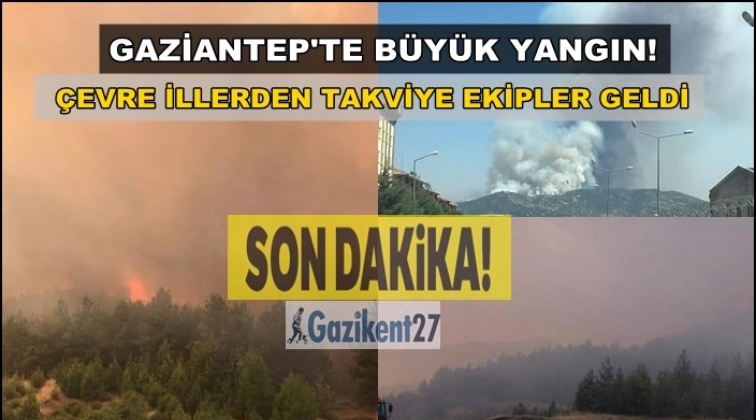 Gaziantep'te b&uuml;y&uuml;k orman yangını!..