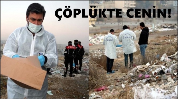 Gaziantep'te çöplükte çanta içinde cenin bulundu!