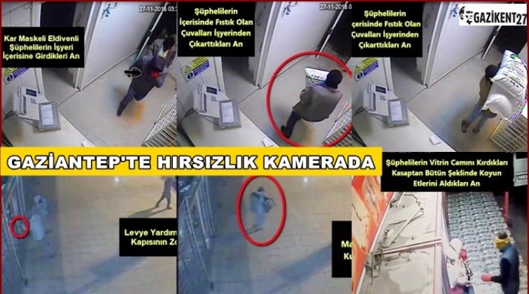 Gaziantep'te et ve fıstık hırsızlığı kamerada